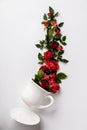 Creative layout made of coffee or tea cup with red roses on white background Royalty Free Stock Photo