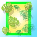 Creative layout made of colorful tropical leaves on colorful background. Minimal summer exotic concept with copy space. Border Royalty Free Stock Photo