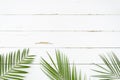 Creative layout made of colorful tropical palm leaves on white wooden background. Minimal summer exotic concept with