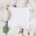 Creative layout made of cotton flowers and paper card note. Nature and organic