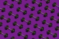 Creative layout made of dumbbells with a weight in the form of pumpkins, purple background, healthy lifestyle and sport Royalty Free Stock Photo
