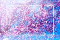 Creative layout made with flowers white frame. Spring minimal concept. Nature background Royalty Free Stock Photo