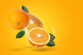 Creative layout made from Fresh Sliced oranges and Orange fruit with water Splashing on an orange background Royalty Free Stock Photo