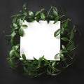 Creative layout made of green leaves with empty blank for note on black background. Top view. Royalty Free Stock Photo