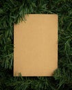 Creative layout made of leaves with craft paper card note. Flat lay. Nature concept. Royalty Free Stock Photo