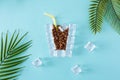 Creative layout made of palm leaves and ice cubes and coffee beans on blue background. Minimal summer drink idea. Cup of ice Royalty Free Stock Photo