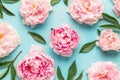 Creative layout made with pink peony flowers on blue background. Flat lay. Flower composition Royalty Free Stock Photo
