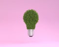 Creative layout made of plant Lightbulb floating on pink pastel