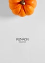 Creative layout made of pumpkin over white background with copy space for text Royalty Free Stock Photo