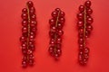 Red currant on red background Royalty Free Stock Photo