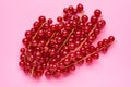 Red currant on red background Royalty Free Stock Photo