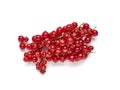Red currant isolated the white background. Royalty Free Stock Photo