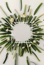 Creative layout made with snowdrop flowers on a bright background with white frame. Flat lay, top view, copy space. Spring minimal Royalty Free Stock Photo