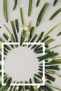 Creative layout made with snowdrop flowers on a bright background with white frame. Flat lay, top view, copy space. Spring minimal Royalty Free Stock Photo