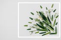 Creative layout made with snowdrop flowers on a bright background with white frame. Flat lay, top view, copy space. Spring minimal Royalty Free Stock Photo