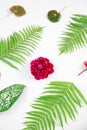 Creative layout made of spring flowers and green leaves. Nature background. Season minimal pattern. Peony flower, begonia and Royalty Free Stock Photo