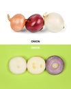 Creative layout made of three onion bulbs of different colors red, yellow and white