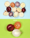 Creative layout made of three onion bulbs of different colors red, yellow and white