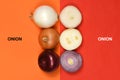 Creative layout made of three onion bulbs of different colors red, yellow and white