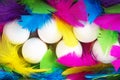 Creative layout made of white chicken eggs with colorful feathers trendy neon colors. Royalty Free Stock Photo