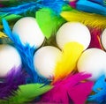 Creative layout made of white chicken eggs with colorful feathers trendy neon colors. Royalty Free Stock Photo