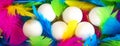 Creative layout made of white chicken eggs in wooden box with colorful feathers trendy neon colors. Spring and Easter holiday Royalty Free Stock Photo