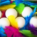 Creative layout made of white chicken eggs in wooden box with colorful feathers trendy neon colors. Spring and Easter holiday Royalty Free Stock Photo