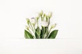 Creative layout made with white flowers on white background. Spring minimal concept, copy space Royalty Free Stock Photo