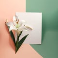 Creative layout made of white lily flower and blank paper sheet on colorful background. Flat lay, top view minimal concept.