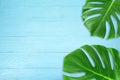 Creative layout summer tropical leaf Flat lay composition. Green tropic leaves frame with copy space on blue wood background