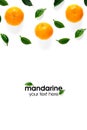 Creative layout of tangerines, mandarines. Unpeeled and peeled ripe tangerines, mandarines, clementines with leaves isolated on