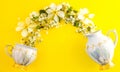 Creative layout of teapot and tea Cup with blossom apricot or cherry flowers on a yellow background. Spring time Royalty Free Stock Photo