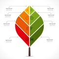 Creative leaf info-graphic