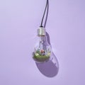 Creative light bulb with small plants inside hanging against a simple background Royalty Free Stock Photo