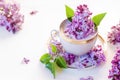 Creative lilac flowers in milk water. Beauty and wellness treatments with flower petals in bath. Summer concept of freshness, puri Royalty Free Stock Photo