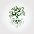 green nature tree with roots logo template design