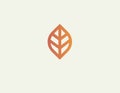 Creative linear plant leaf logo for company