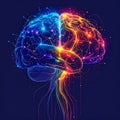 Creative and Logical Brain Hemispheres Glowing Royalty Free Stock Photo