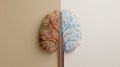 Creative and Logical Hemispheres of the Brain Depicted in a Split View Showing Neural Connections and a Clean Division Royalty Free Stock Photo