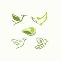 Creative luxury modern bird with green leaf logo template