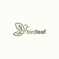 Creative luxury modern bird with green leaf logo template