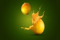 The Creative Mango splash Royalty Free Stock Photo