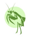 Creative mantis illustration