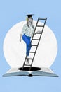 Creative metaphor collage banner of female lady climb ladder up from book get wisdom educational knowledge