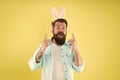 Creative mind. Easter rabbit got idea. Bearded man point fingers up yellow background. Idea to celebrate Easter. Holiday Royalty Free Stock Photo