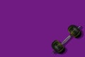 Creative minimal sport concept made of dumbbells with a weight in the form of pumpkins, purple background. Copy space Royalty Free Stock Photo