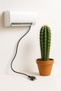 Creative minimalist composition featuring a cactus in a pot beside an unplugged wall-mounted air conditioner on a beige background Royalty Free Stock Photo