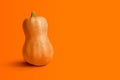 Creative minimalistic poster orange pumpkin on orange background. Halloween holiday concept. Flat lay background. Spooky holiday