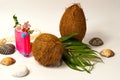 Creative mockup of fresh coconuts, pink suitcase and seashells, isolated on a white background. The concept of travel Royalty Free Stock Photo