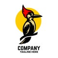 Creative and modern bird woodpecker logo